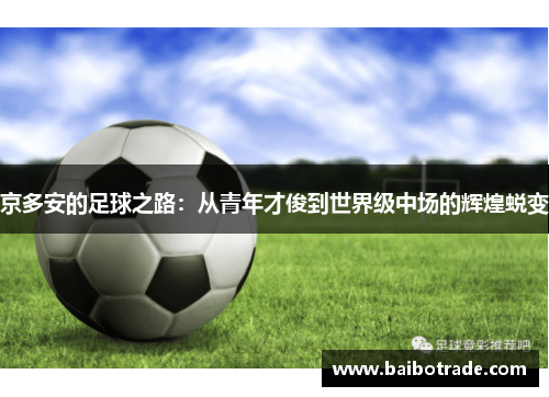 京多安的足球之路：从青年才俊到世界级中场的辉煌蜕变